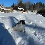 Basikowe Wzgorze, 2 Z Kominkami I Jacuzzi *