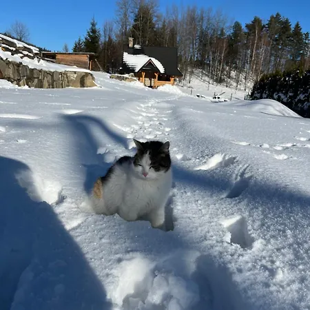 Basikowe Wzgorze, 2 Z Kominkami I Jacuzzi *