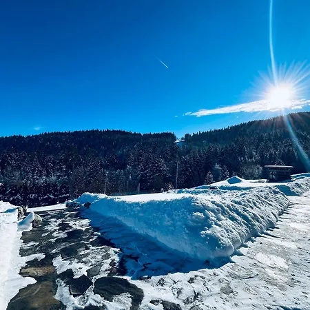 Basikowe Wzgorze Holiday home